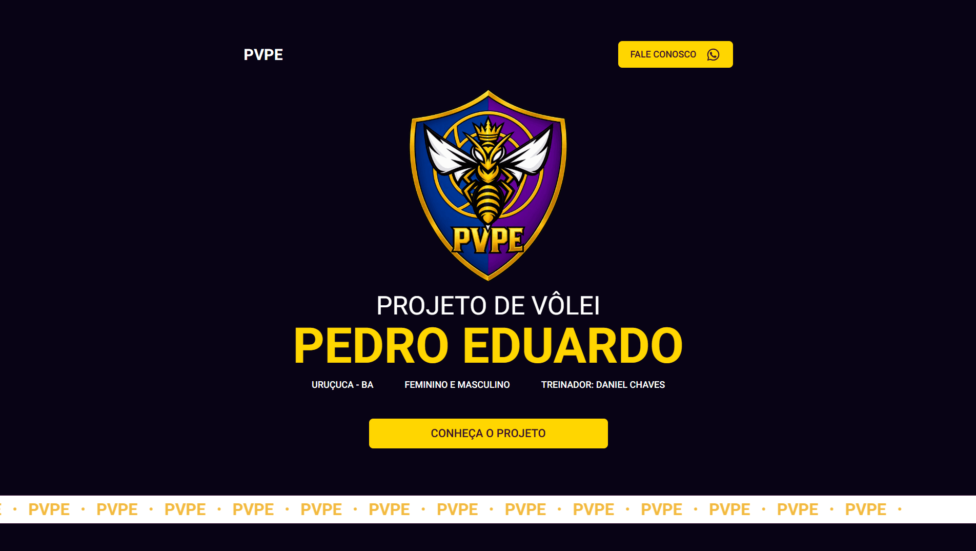 PVPE — Projeto de Vôlei Pedro Eduardo — Site institucional · Painel administrativo